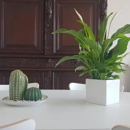 Apartment Casa Fiorenza Parcheggio Privato *