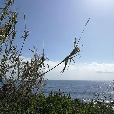 Casa Fiorenza Private Parching Citra 008055-lt-1530 *